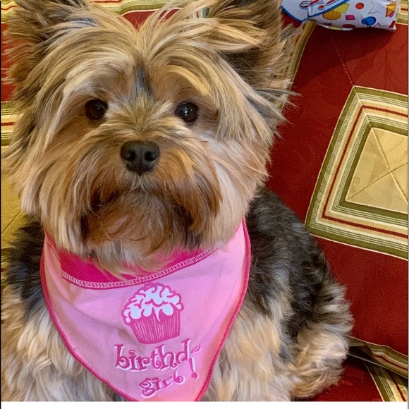 Meet your Posher, Regina - Picture 3 of 6